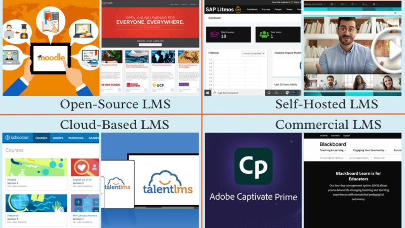 Four types of LMS
